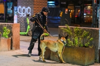 Politiet med mye ressurser på Grønland i Oslo etter at en mann ble funnet skutt.